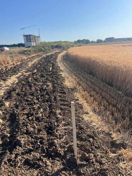 TEREN 4.200 MP   – IDEAL INVESTITIE / LOGISTIC / DEZVOLTARE IMOBILIARA - 1