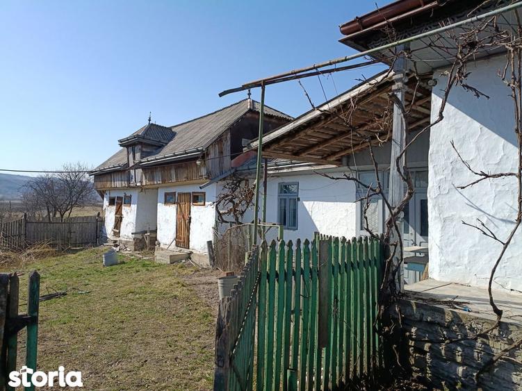 De vanzare casa + teren 9000 mp - 3