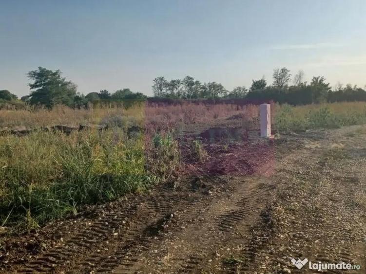 Sabareni, lot de casa 500 mp, curent langa teren - 2