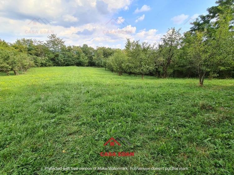 ●Teren intravilan in Poiana Campina,zona retrasa,3287 mp,10e● - 9