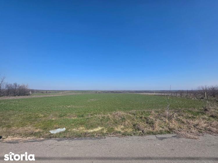 Teren de vanzare, 3800 mp, zona Mischii sat Gogosesti - 1