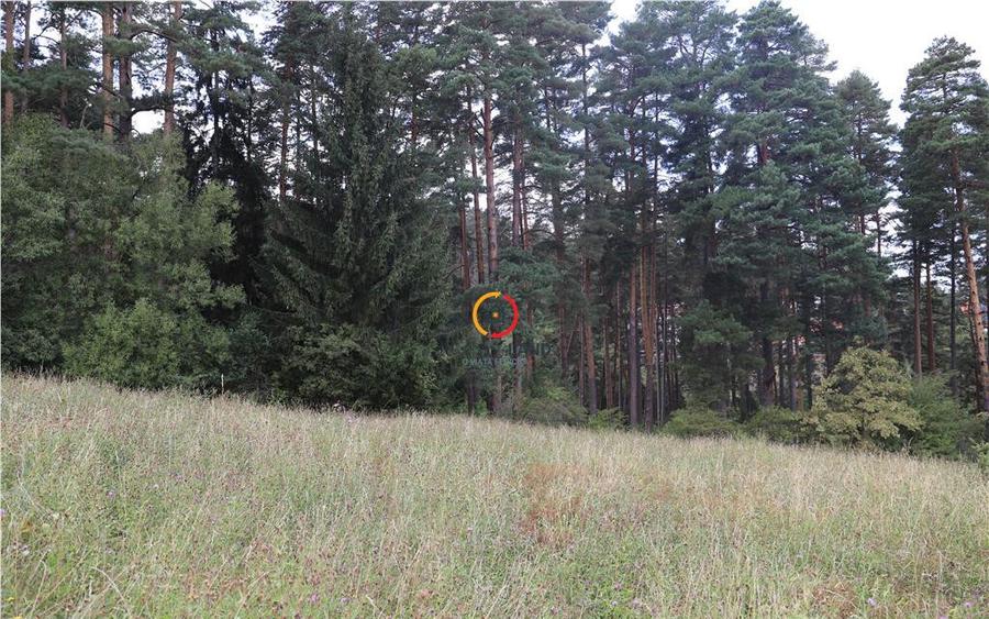 Teren intravilan cu PUZ si PUD 2 loturi - 3