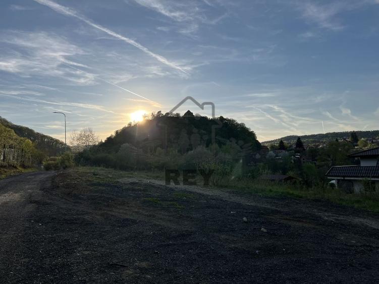 Teren la poalele Cetății Cisnadioarei de vânzare/1250 mp - 11