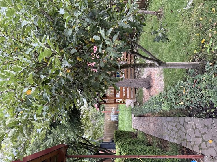 De vanzare casa vila Comarnic - 5