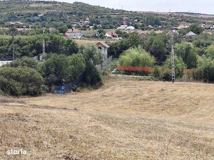 Simnicu de Sus, Lesile- 6050 mp teren intravilan - 4