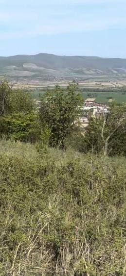 Teren 1177 mp 2 parcele zona Cetatea Deva - 6