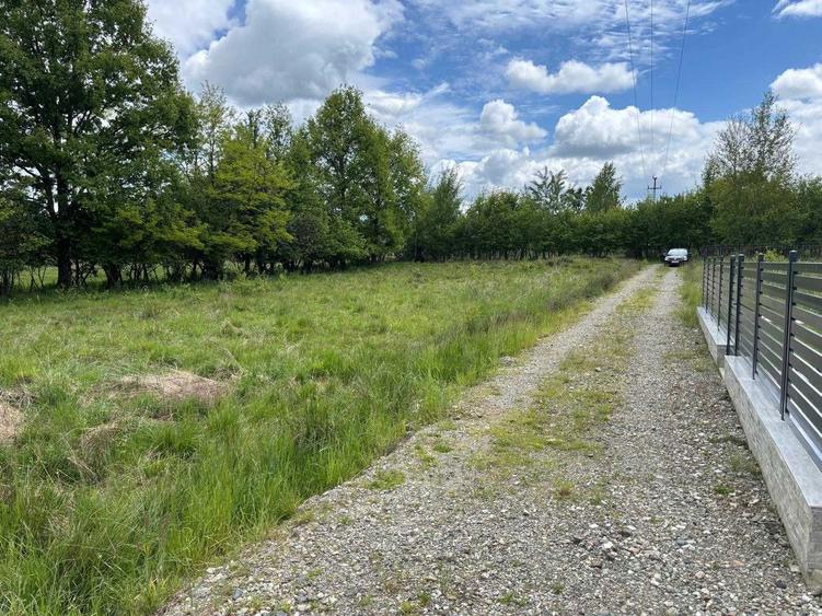 Teren 2300 mp Ocna Sugatag ideal cabane / investitie drum privat + acces - 3