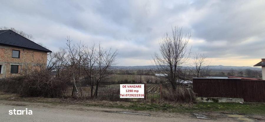 Teren de vanzare, 1290 mp, Coltau Maramures - 3