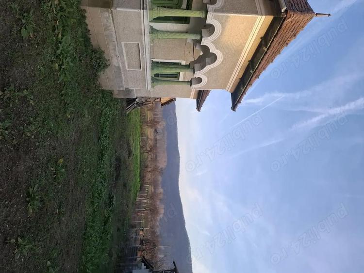 Teren 4.443 mp(intr+extra)+constructii vechi Nicolae Balcescu, Ple?oiu jud Valcea - 9