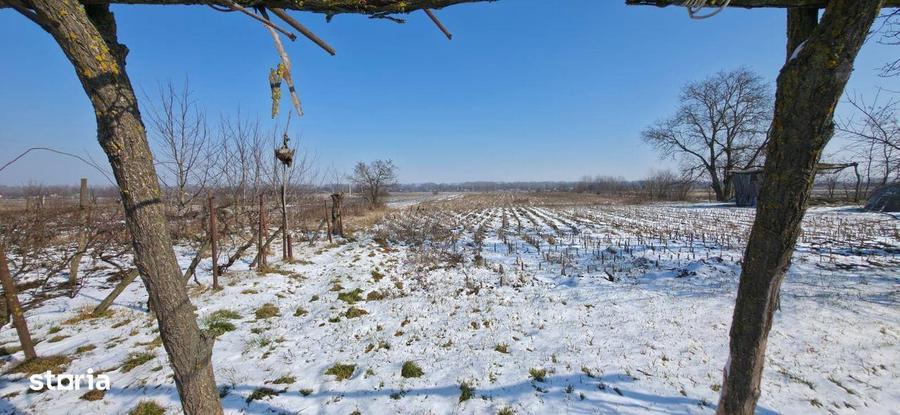 VAND -Teren 11.400 mp Oni?cani, jude?ul Bacau - 2