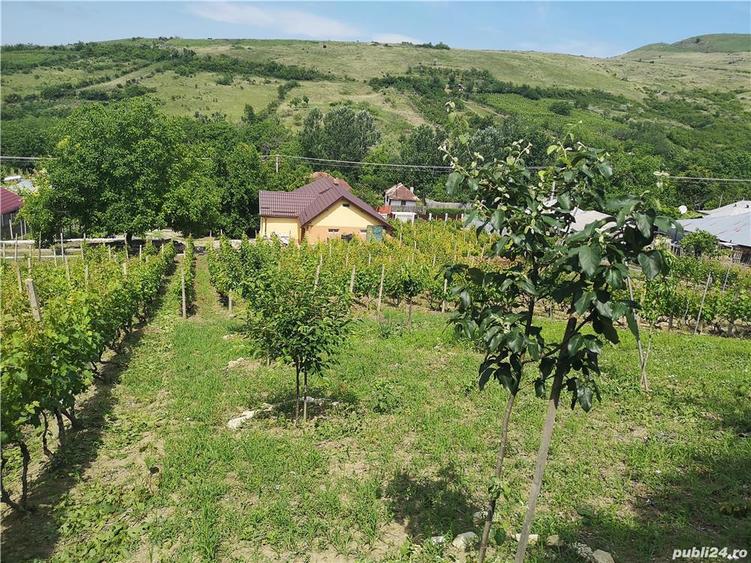 Casa Valeanca (Jud. Buzau) - 3