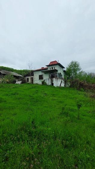 Casa + 9800 mp teren, Cotmeana -Arges, zona verde, potential turistic - 6