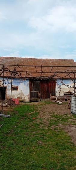 Casa in pianu de jos - 2