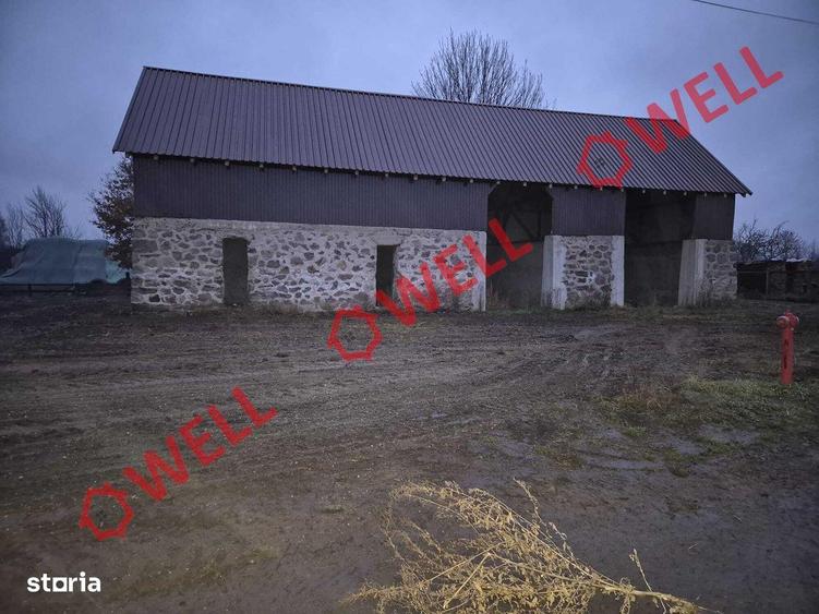 De vanzare hala industriala in Bradu? - 3