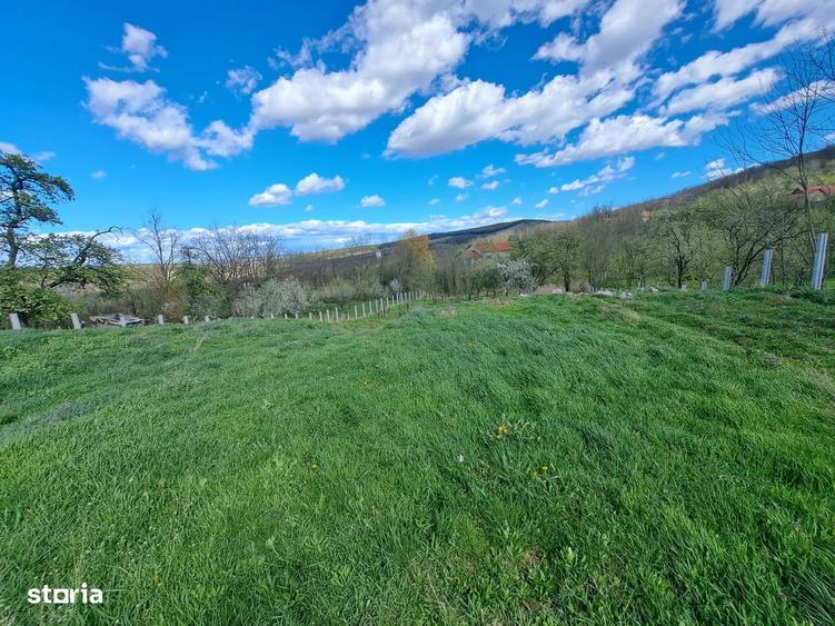 Teren de vanzare 3600mp, cu proiect si autorizatie- Berghin- Straja - 3