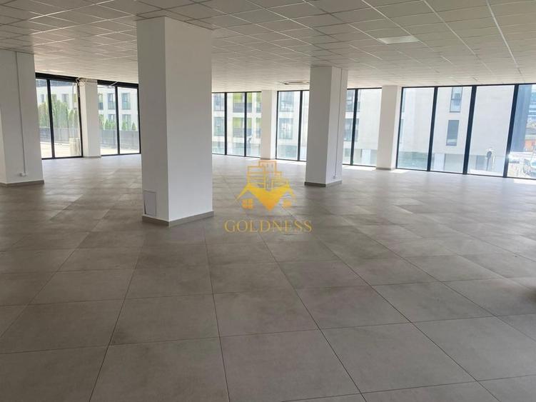 Spatiu comercial, Cartier Dambul Rotund, Lombului, Corneliu Coposu. - 4