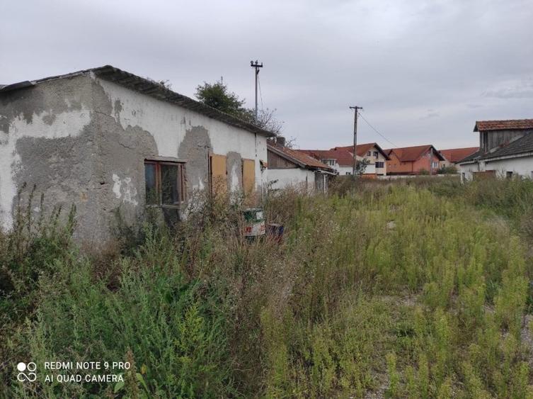 Teren pe fosta ferma a fabricii de zahar Bod - 1