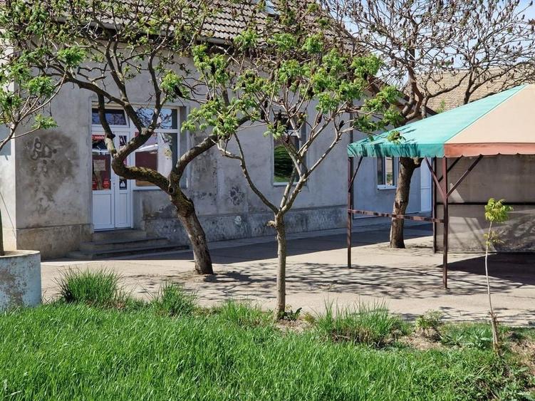 Spațiu comercial | DN69  | comuna Pesac | 50 km de Timișoara - 6