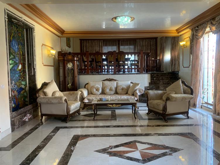 Primo -Vilă D+P+2M+Mpiscina teren 1289 mp preț.2.500.000 euro - 2