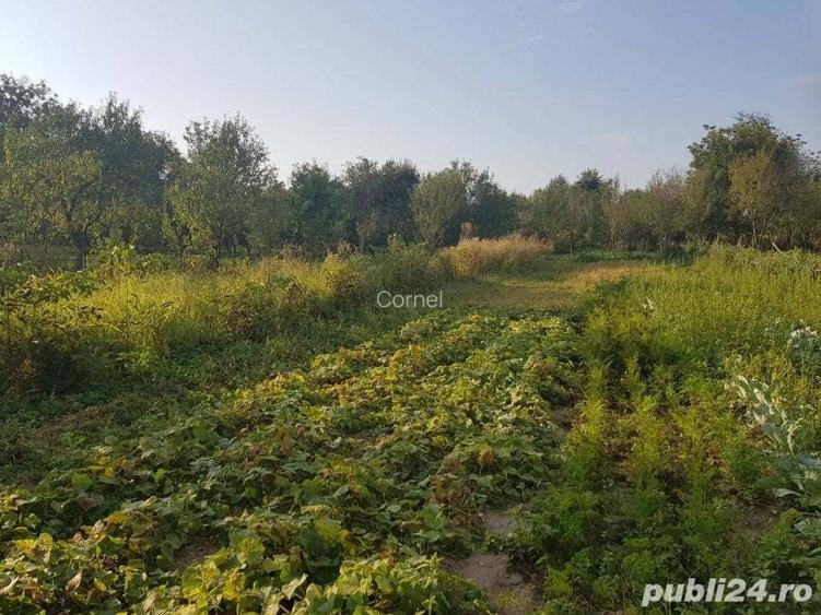 Vand casa, teren agricol si padure in Cheud