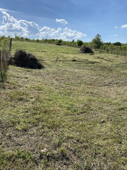 Teren intravilan de vanzare Salicea, Cluj - 4