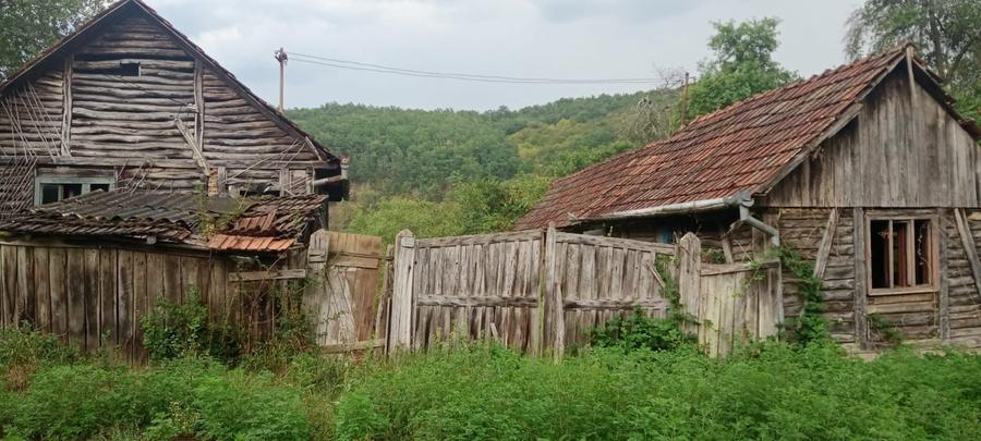 Vand casa cu gradina - 6