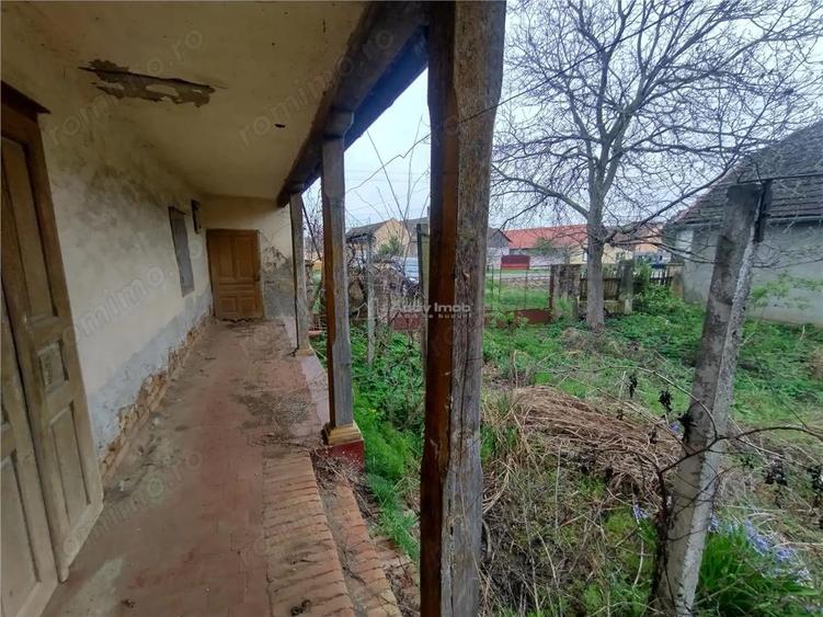 Iecea Mare - Timis, Casa cu Gradina, 1800mp Teren, Pret Negociabil - 14
