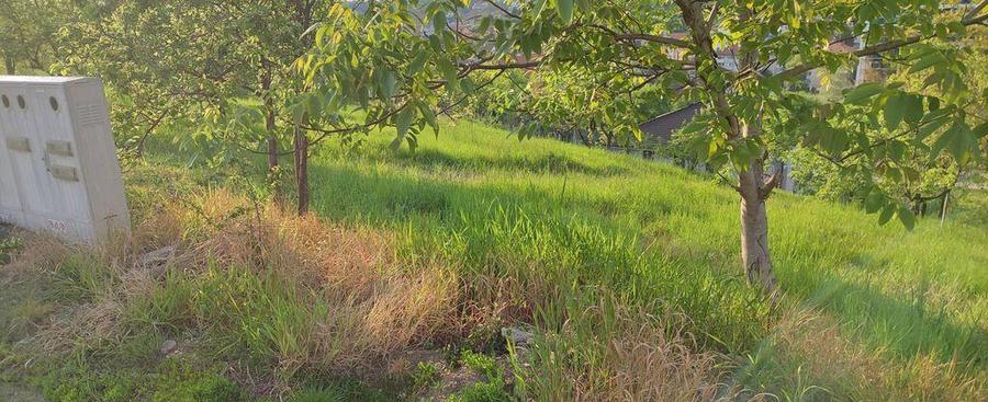 Teren Spitalul Judetean - 1