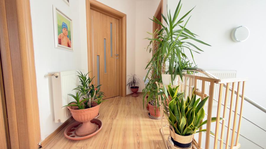 Vanzare vila individuala Domnesti, la cheie ! - 35