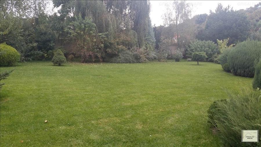 Proprietate impresionanta Padurea Baneasa - Iancu Nicolae - 9