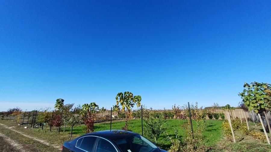 Corbeanca | Teren 800mp | Utilitati la 50m | Deschidere 32mp - 3