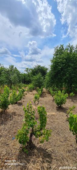Casa + teren de vanzare Valea Nucului - 1