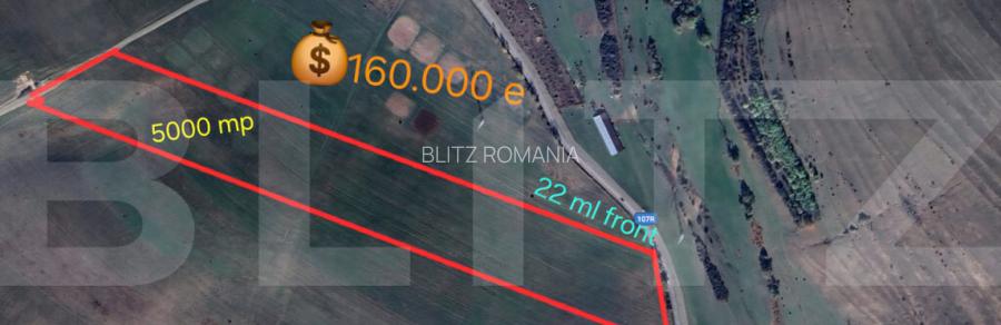 Teren de investitie in localitatea Ciurila