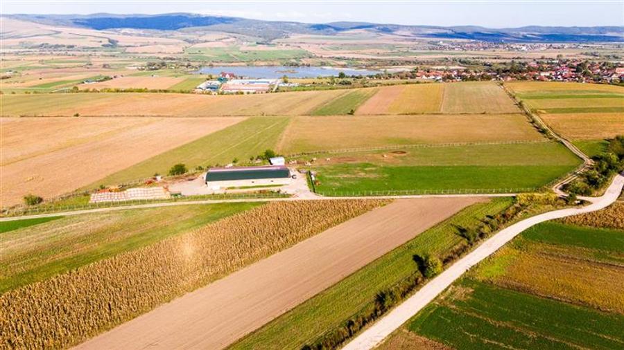 FILM! Zona extinsa, teren mixt,18.000 mp, ideal agro-investitii, Rotbav, Brasov - 3