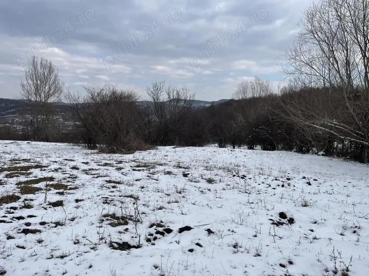 Teren intravilan , teren livada langa Baile Govora in Mihaesti, Babeni, Budesti - 6
