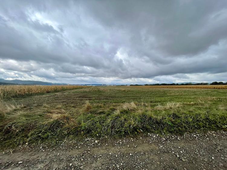 Teren industrial pretabil hala P.U.Z aprobat! - 4