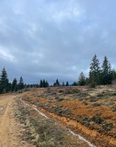 Teren Belis 1000mp - 11