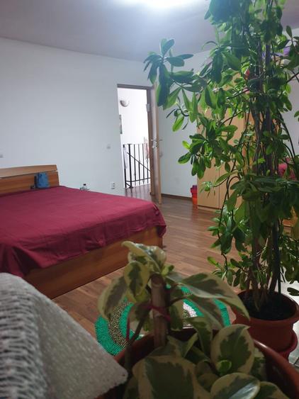 Vila individuala-la bulevard -Berceni IF - 11