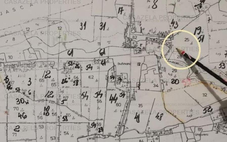 Teren intravilan 21.010 mp Butimanu jud. Dambovita - 2