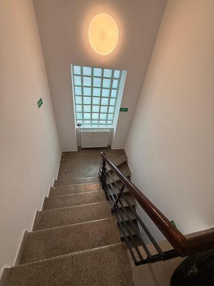 vila Copou 7 camere - 6