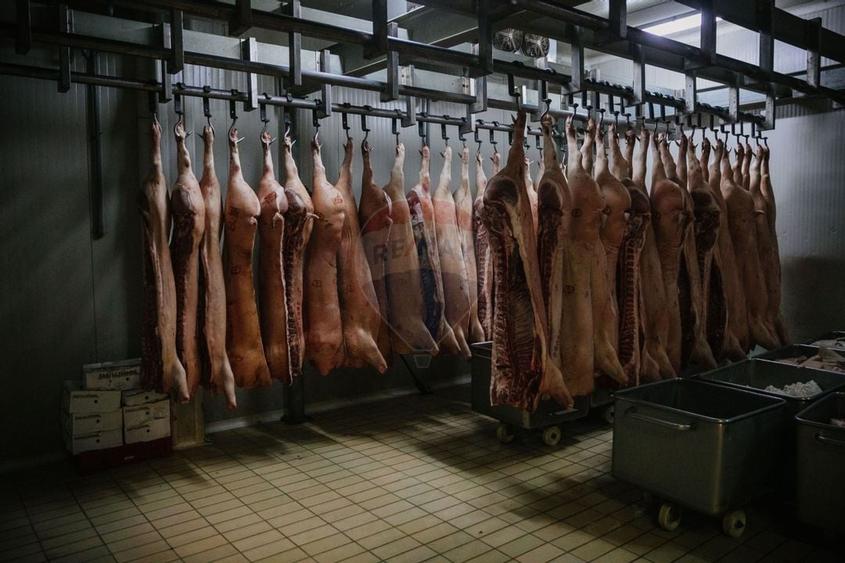 De vânzare AFACERE la cheie--CARMANGERIE--ABATOR--PREPARARE MEZELURI - 9