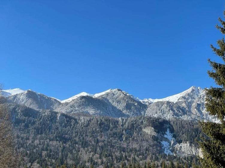 Vila de vanzare in Sinaia !!! Priveliste spectaculoasa spre muntii Bucegi!!! - 5