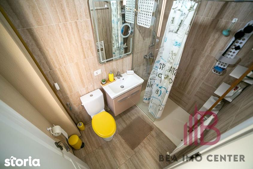 Casa rafinata , mobilata premium , Vladimirescu - 17