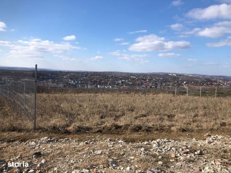 Teren intravilan Bucium 1000 mp, dealul Craitelor - 3