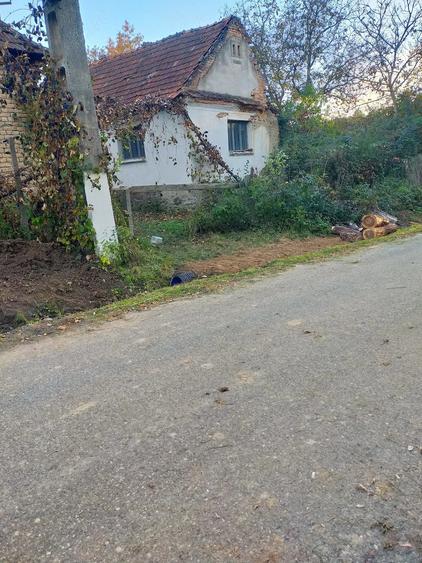 Vand casa in localitatea Iaz - 3