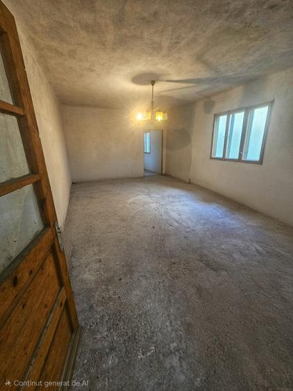 Exclusivitate! Casă cu teren generos în Sat Olteni, Com.Teișani - 31