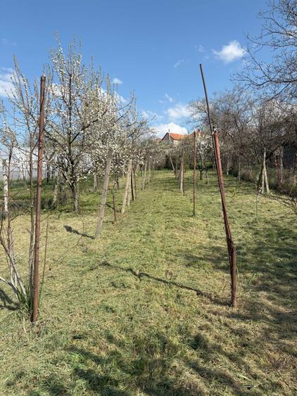 Vand casa particulara cu teren pe strada Depoului nr. 43, Oradea - 2