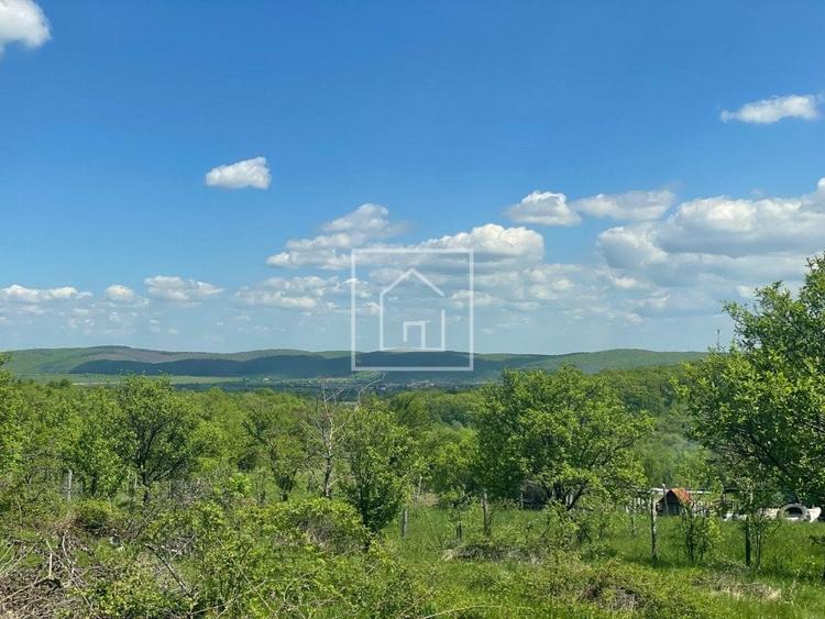 Teren intravilan cu priveliste superba in zona Sibiel - 3