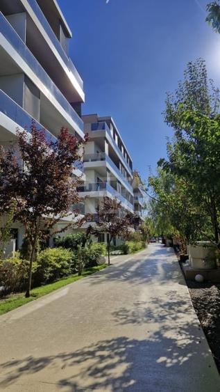 2 camere cu terasa 16mp - Erou Iancu Nicolae - Bloc 2022 - 11