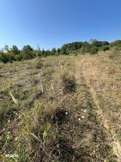 Teren extravilan, 15 arii, pretabil pentru investitii, construibil - 4